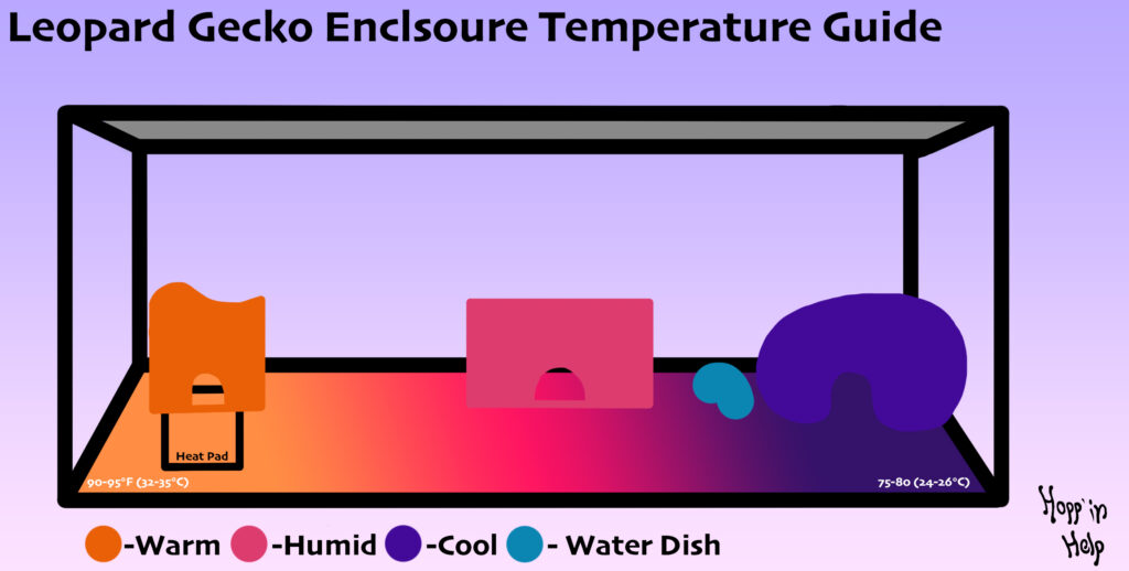 Gecko on sale temperature range